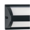 Immagine di Applique Da Esterno Alluminio Antracite IP54 Boston Intec Light