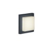 Immagine di Lampada da Soffitto o Parete Quadrato Led IP54 Hondo Antracite Trio Lighting