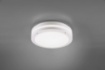 Immagine di Plafoniera Applique Esterno Piave Bianco IP54 Ø30 cm Trio Lighting