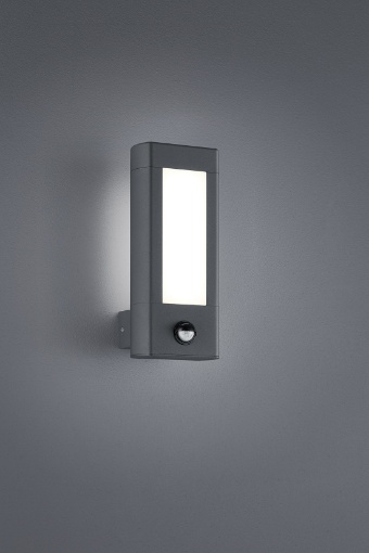 Immagine di Applique Da Esterno Rhine Led IP54 Antracite Con Sensore Di Movimento H28 cm Trio Lighting