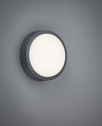 Immagine di Plafoniera per Esterno Breg Antracite IP54 Ø20 cm Trio Lighting