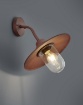 Immagine di Applique a Muro Lanterna Vintage Brenta Ruggine IP44 Trio Lighting