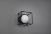 Immagine di Applique Plafoniera Moderna Paralume Sfera Vetro con Gabbia Trio Lighting