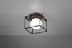 Immagine di Applique Plafoniera Moderna Paralume Sfera Vetro con Gabbia Trio Lighting