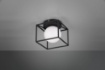 Immagine di Applique Plafoniera Moderna Paralume Sfera Vetro con Gabbia Trio Lighting