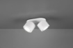 Immagine di Plafone 2 Spot Led L18 cm Taurus Bianco Trio Lighting