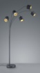 Picture of Piantana Tommy Nero 5xE14 Tessuto Nero e Oro H200 cm Trio Lighting