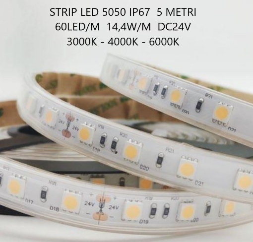 Picture of Striscia Led 5050 60Led/m 14,4w/m DC24V IP67 Bobina Da 5 mt Intec Light