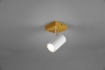 Immagine di Faretto Base Legno e Spot Bianco GU10 Marley Orientabile Trio Lighting