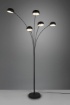 Picture of Piantana 5 Bracci Arco Metallo Nero Dito 5xE14 Trio Lighting