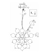 Immagine di Lampadario Moderno Bolla Sfere Vetro Soffiato Ambra Maytoni