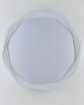 Immagine di Plafoniera Led Dimmerabile Smart Wifi Daisy PL52 Fan Europe