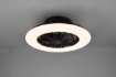 Immagine di Ventilatore Led Integrato con Dimmer Timer e Luce Notturna Stralsund Nero Trio Lighting