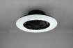 Immagine di Ventilatore Led Integrato con Dimmer Timer e Luce Notturna Stralsund Nero Trio Lighting