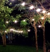 Picture of Catena Luminosa Per Esterno Giardino 10 Luci E27 Nero 10 Metri IP44