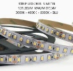 Immagine di Strip Led 2835 Bobina 5 mt 18w/m 120Led/m DC24V IP20