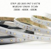 Immagine di Strip Led 2835 60 Led/m 12w/m DC24V IP67 Bobina Da 5 mt