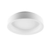 Immagine di Plafoniera Rotonda Anello Led CCT Switch Moderno Bianco 60 cm