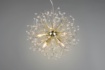 Immagine di Lampada a Sospensione 5 Luci Ottone con Gocce Decorative Effetto Cristallo Gloria Trio Lighting