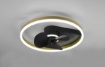 Picture of Ventilatore Rotondo Nero Led Dimmer 2700k - 6500k Molteplici Funzioni Borgholm Trio Lighting