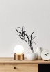 Immagine di Lumetto Decorativo Countess Ottone e Sfera Vetro Bianco Trio Lighting