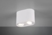 Immagine di Faretto Soffitto 2 Spot GU10 Orientabili Cookie Bianco Trio Lighting