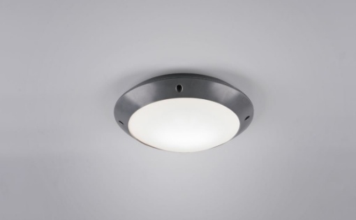 Immagine di Plafoniera per Esterno Camaro Antracite IP54 Ø26 cm Trio Lighting