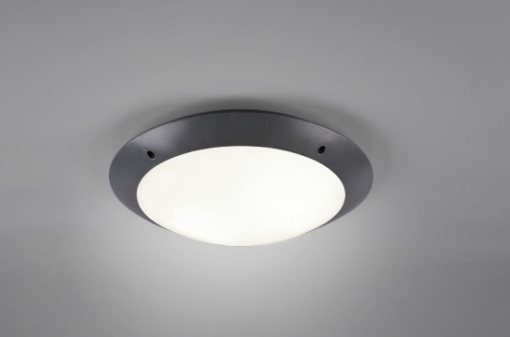 Immagine di Plafoniera per Esterno Camaro Antracite IP54 Ø33 cm Trio Lighting