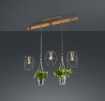 Immagine di Sospensione 3 Luci Plant Nichel con Piante Decorative Trio Lighting