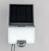 Immagine di Proiettore Led 10w Con Sensore Movimento e Pannello Solare IP54