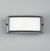 Immagine di Applique Biemissione Led CCT Luce Selezionabile 3000k 4000k Antracite IP54