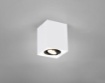 Immagine di Plafone Spot da Soffitto GU10 Orientabile Biscuit Bianco e Nero Trio Lighting