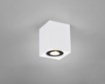 Immagine di Plafone Spot da Soffitto GU10 Orientabile Biscuit Bianco e Nero Trio Lighting