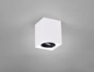 Immagine di Plafone Spot da Soffitto GU10 Orientabile Biscuit Bianco e Nero Trio Lighting