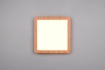 Immagine di Lampada Quadrata da Soffitto Effetto Legno Camillus Led 16W Switch Dimmer IP44 Trio Lighting 