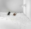 Immagine di Faretto Da Terra Giardino Cilindro Bianco Con Picchetto IP65 Akron Intec