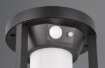 Immagine di Lampione da Giardino Alluminio Nero Carmo Led con Sensore IP54 Trio Lighting