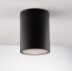 Immagine di Faretto Spot Soffitto Cilindro Da  Esterno IP54 Citizen R1 Nero Intec Light