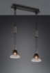 Immagine di Sospensione Nera Moderna Paralumi Coppe Vetro Fumé Stanley 2xE27 Trio Lighting 