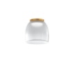 Immagine di Plafoniera Design Vetro Satinato Svasato 25 cm Led 16w 3000k Drum PLG Oro Top Light