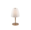 Picture of Abatjour Oro Con Paralume Vetro Bianco Per Camera Da Letto Ares L1 Luce Ambiente Design