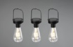 Immagine di Set 3 Lampade Solari da Appendere per Esterno Campus Acciaio Inox IP44 Trio Lighting 