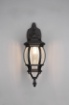 Immagine di Applique Lanterna Vintage da Esterno Elvo Alluminio Nero IP23 Trio Lighting