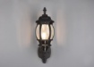 Immagine di Applique Lanterna Luce Verso Sopra Vintage Elvo Alluminio Nero IP23 Trio Lighting