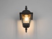 Immagine di Applique da Esterno Lanterna Vintage Livenza Alluminio Nero IP44 Trio Lighting