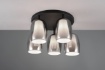 Immagine di Lampada Nera da Soffitto 5 Luci Doppio Vetro Fumé e Bianco Latte Barret Ø48 cm Trio Lighting