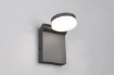 Picture of Applique Antracite IP44 Led Inclinabile con Funzione Dimmer + CCT Adour Trio Lighting