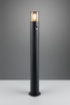 Picture of Lampione Cilindro Nero da Esterno Hoosic 1xE27 Sensore Movimento Integrato H80 cm IP44 Trio Lighting