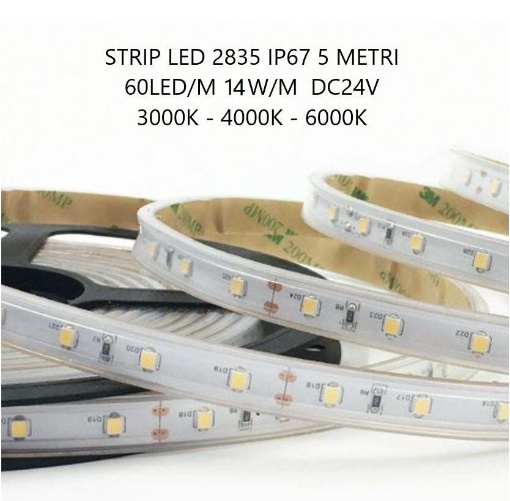 Immagine di Bobina Strip Led Da 5Mt 60Led/m 14w/m DC24V IP67 Per Esterni Intec Light