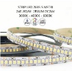 Immagine di Bobina Strip Led 5 Mt 26w/m 240Led/m DC24V IP20 Intec Light